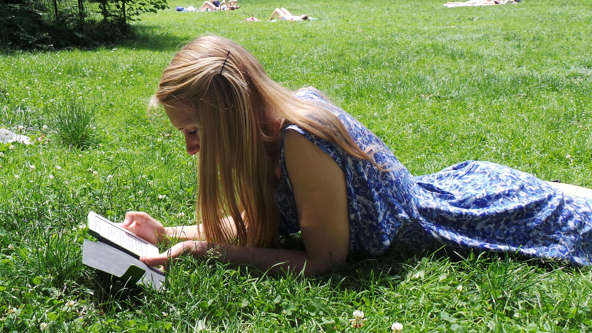 Kindle vs Kobo library books US